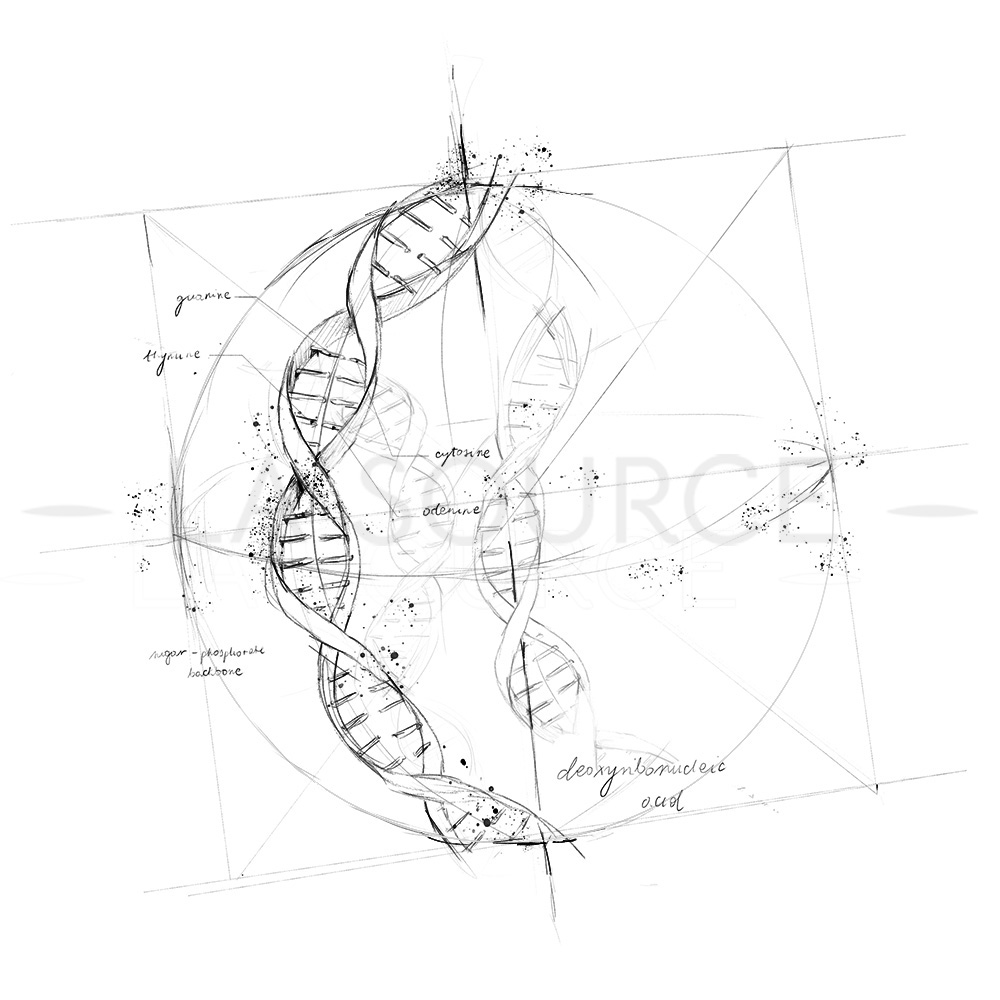 certyfikat-kriolipoliza-osocze-bogatoplytkowe-mezoterapia-iglowa-fibryna-hifu-3d-velashape-3-oczyszczanie-wodorowe-anatomia-twarzy-umowa-szkoleniowa-radiofrekwencja-mikroiglowa-akademia-szkoleniowa-szkolenia-i-kursy