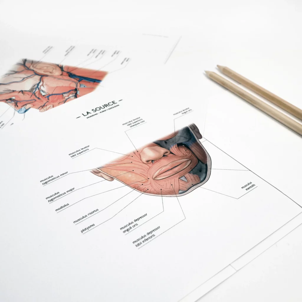 certyfikat-kriolipoliza-osocze-bogatoplytkowe-mezoterapia-iglowa-fibryna-hifu-3d-velashape-3-oczyszczanie-wodorowe-anatomia-twarzy-umowa-szkoleniowa-radiofrekwencja-mikroiglowa-akademia-szkoleniowa-szkolenia-i-kursy